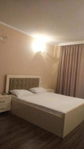 VIP apart 599